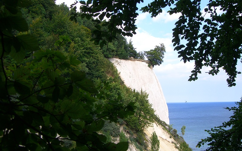 Bild 7